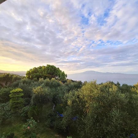 Villa Agia Aikaterini Amoudi Exterior foto