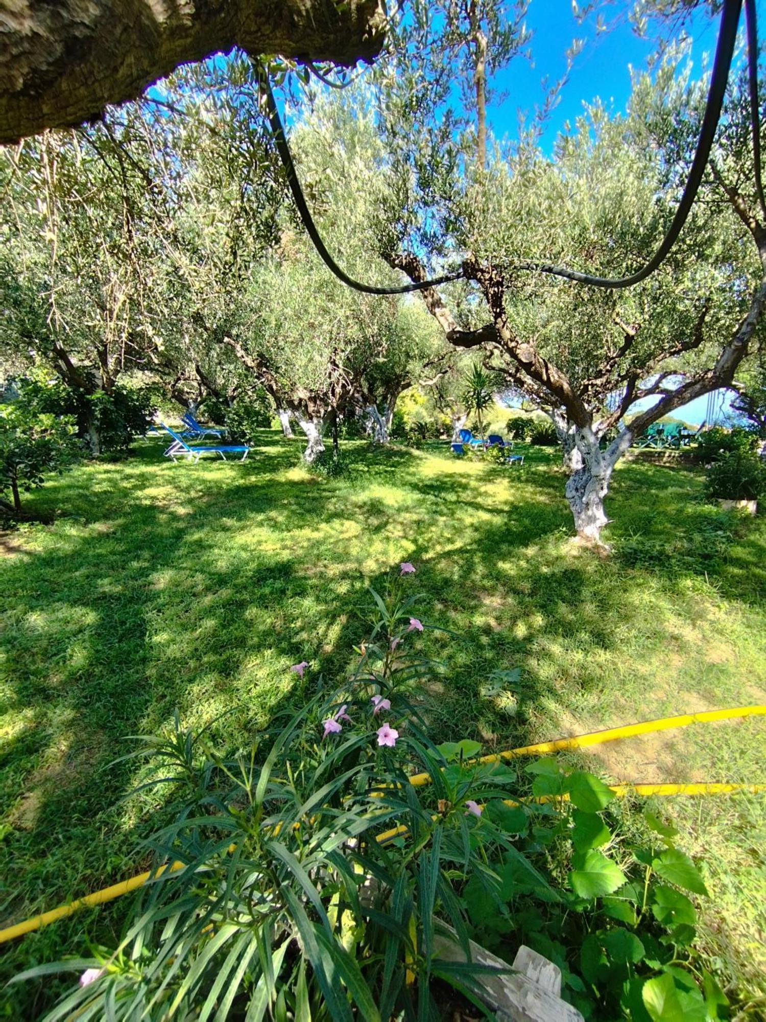 Villa Agia Aikaterini Amoudi Exterior foto