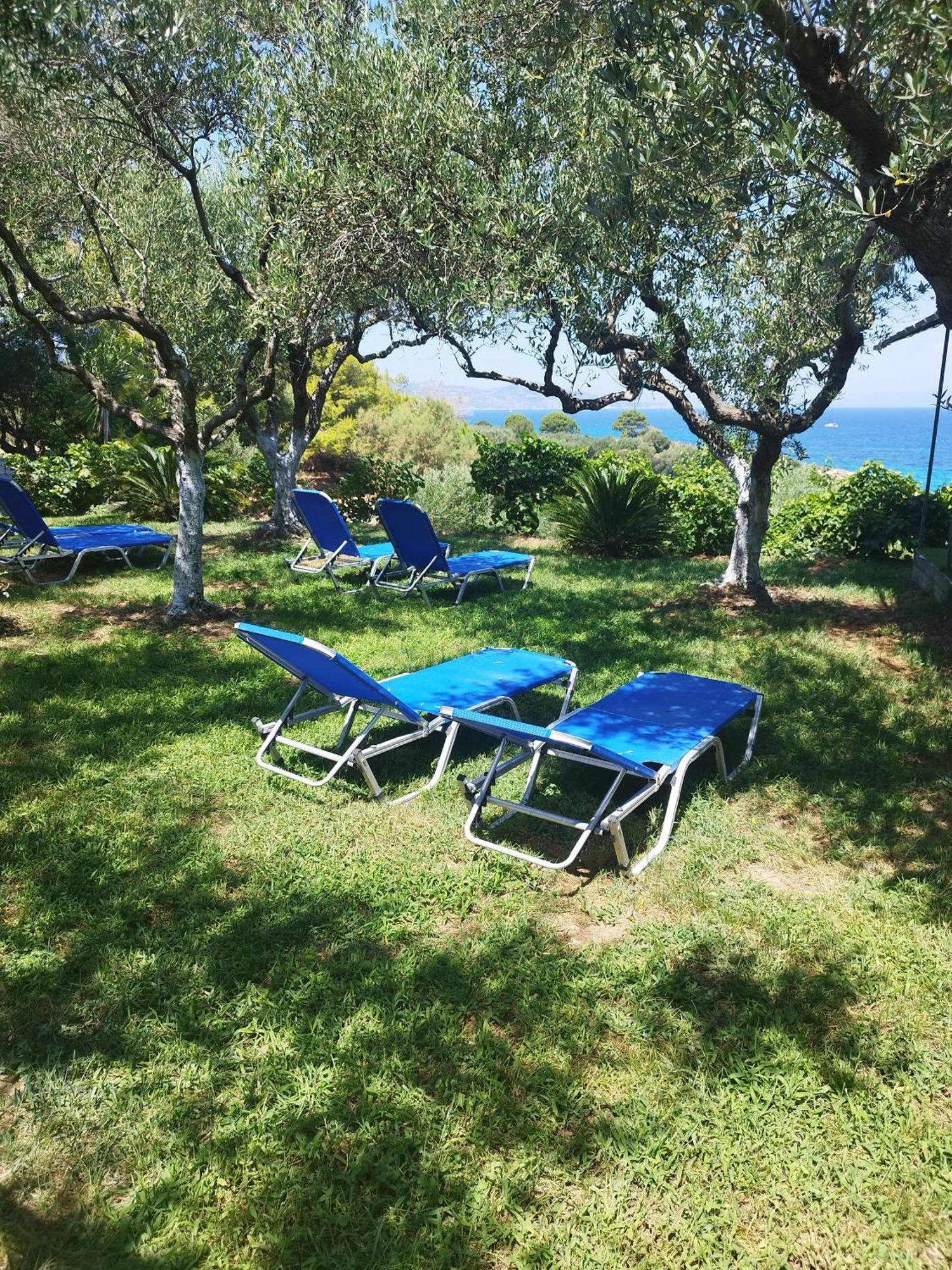 Villa Agia Aikaterini Amoudi Exterior foto
