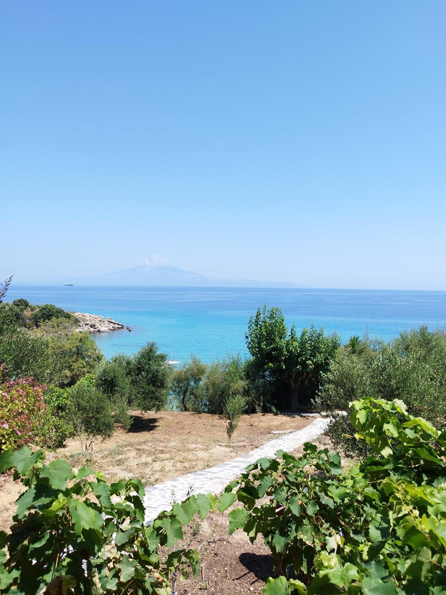 Villa Agia Aikaterini Amoudi Exterior foto